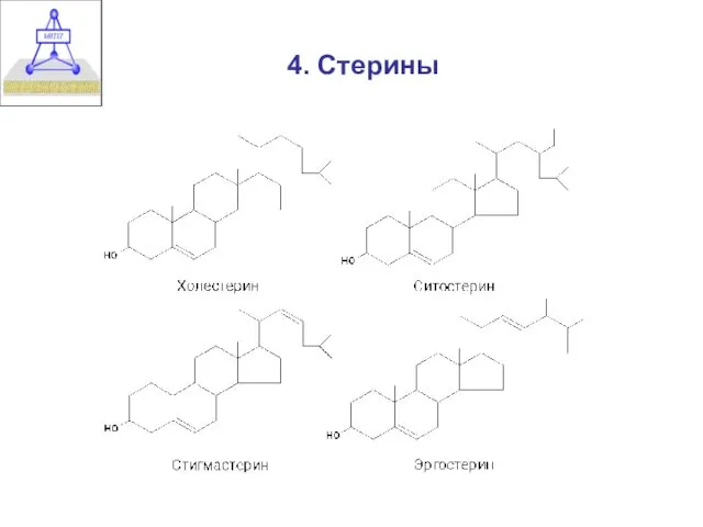 4. Стерины