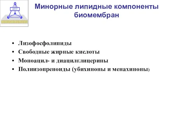 Минорные липидные компоненты биомембран Лизофосфолипиды Свободные жирные кислоты Моноацил- и диацилглицерины Полиизопреноиды (убихиноны и менахиноны)