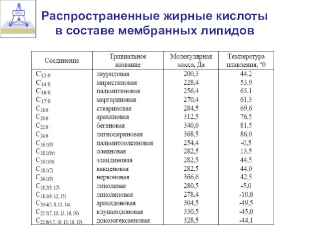 Распространенные жирные кислоты в составе мембранных липидов