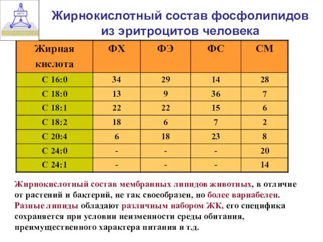 Жирнокислотный состав фосфолипидов из эритроцитов человека Жирнокислотный состав мембранных липидов