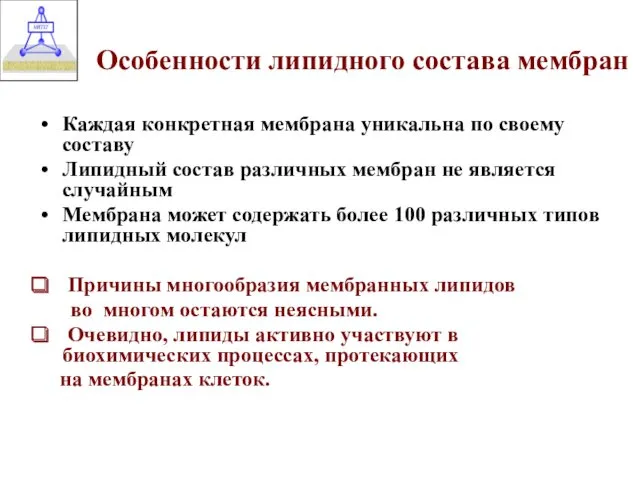 Особенности липидного состава мембран Каждая конкретная мембрана уникальна по своему