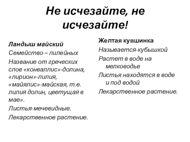 Не исчезайте, не исчезайте! Ландыш майский Семейство – лилейных Название