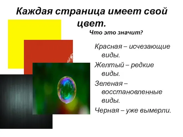 Каждая страница имеет свой цвет. Что это значит? Красная –