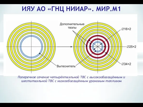 ИЯУ АО «ГНЦ НИИАР». МИР.М1 Поперечное сечение четырёхтвэльной ТВС с