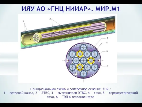 ИЯУ АО «ГНЦ НИИАР». МИР.М1 Принципиальная схема и поперечное сечение