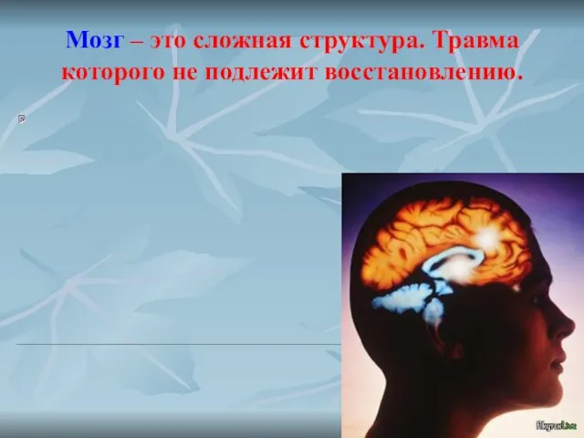 Мозг – это сложная структура. Травма которого не подлежит восстановлению.