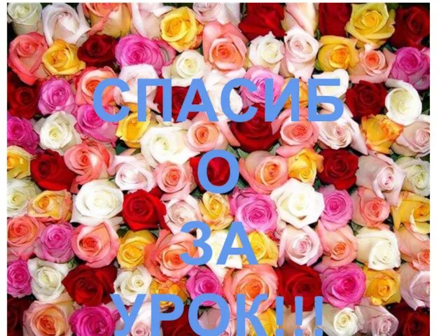 СПАСИБО ЗА УРОК!!!