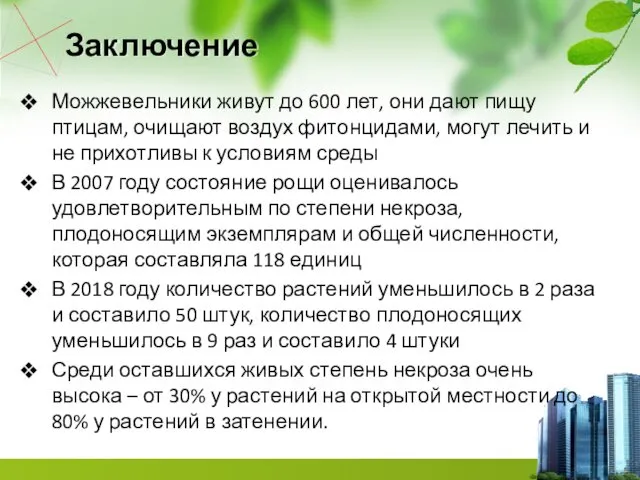 Заключение Можжевельники живут до 600 лет, они дают пищу птицам,