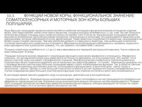 10.3. ФУНКЦИИ НОВОЙ КОРЫ, ФУНКЦИОНАЛЬНОЕ ЗНАЧЕНИЕ СОМАТОСЕНСОРНЫХ И МОТОРНЫХ ЗОН