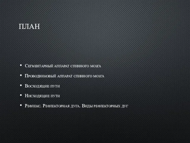 ПЛАН Сегментарный аппарат спинного мозга Проводниковый аппарат спинного мозга Восходящие