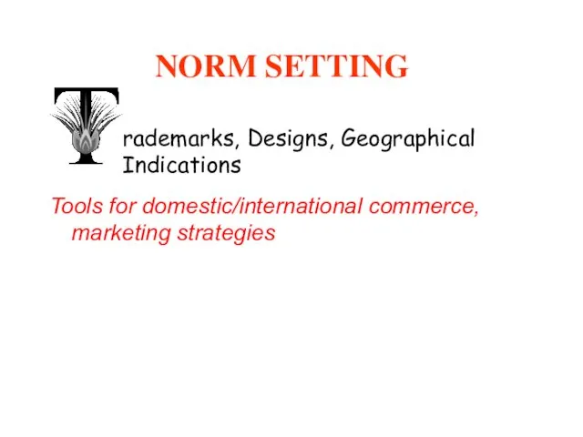 NORM SETTING Tools for domestic/international commerce, marketing strategies Develop int’l