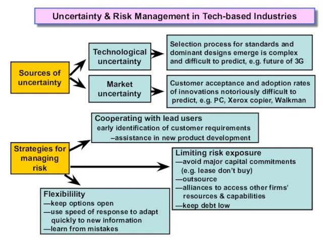 Uncertainty & Risk Management in Tech-based Industries Sources of uncertainty