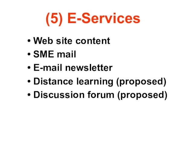 (5) E-Services Web site content SME mail E-mail newsletter Distance learning (proposed) Discussion forum (proposed)