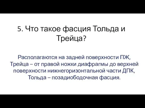 5. Что такое фасция Тольда и Трейца? Располагаются на задней поверхности ПЖ, Трейца