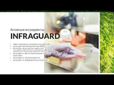 Активные ингредиенты: INFRAGUARD имеет высокое антиоксидантное действие; защищает митохондриальную ДНК;