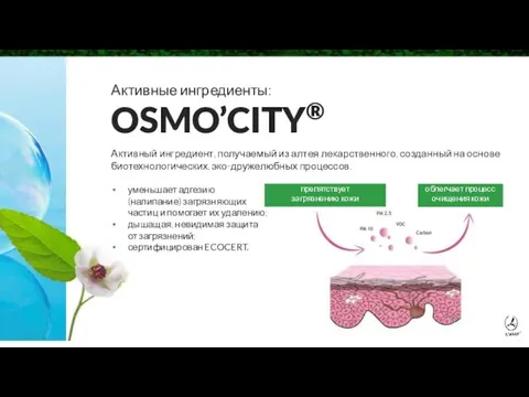 Активные ингредиенты: OSMO’CITY® Активный ингредиент, получаемый из алтея лекарственного, созданный