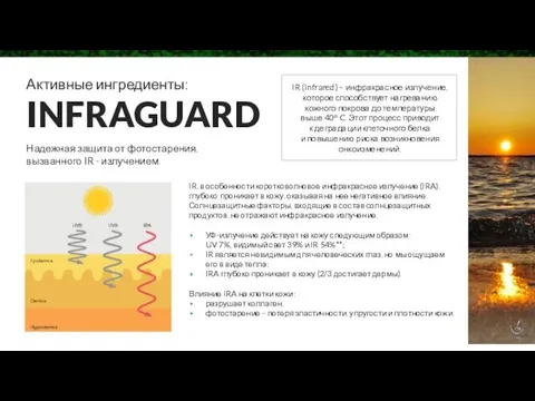 Активные ингредиенты: INFRAGUARD Надежная защита от фотостарения, вызванного IR -