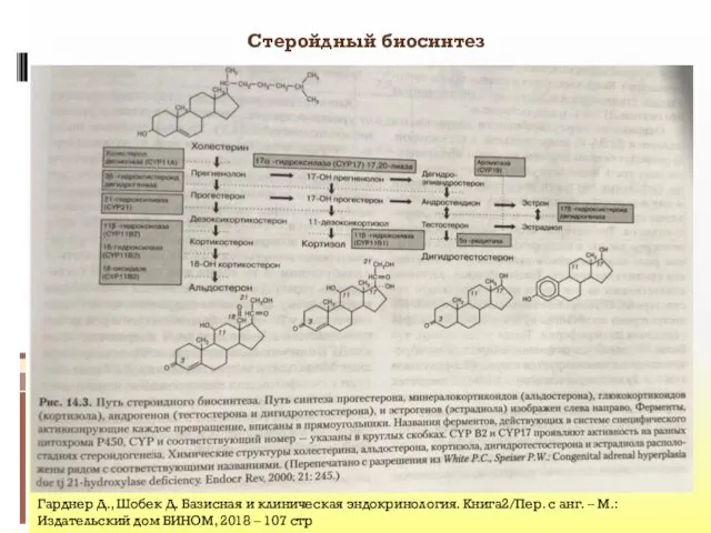 Стеройдный биосинтез Гарднер Д., Шобек Д. Базисная и клиническая эндокринология.