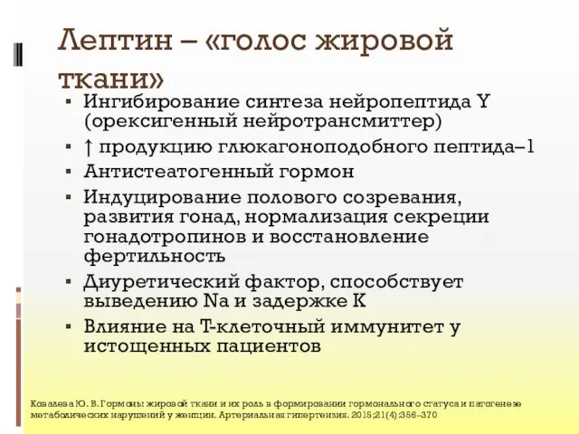 Лептин – «голос жировой ткани» Ингибирование синтеза нейропептида Y (орексигенный