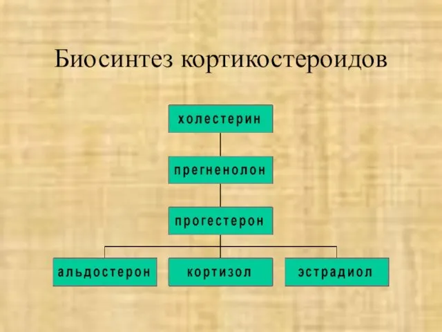 Биосинтез кортикостероидов