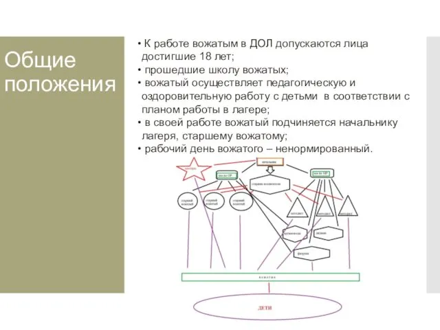 Общие положения К работе вожатым в ДОЛ допускаются лица достигшие