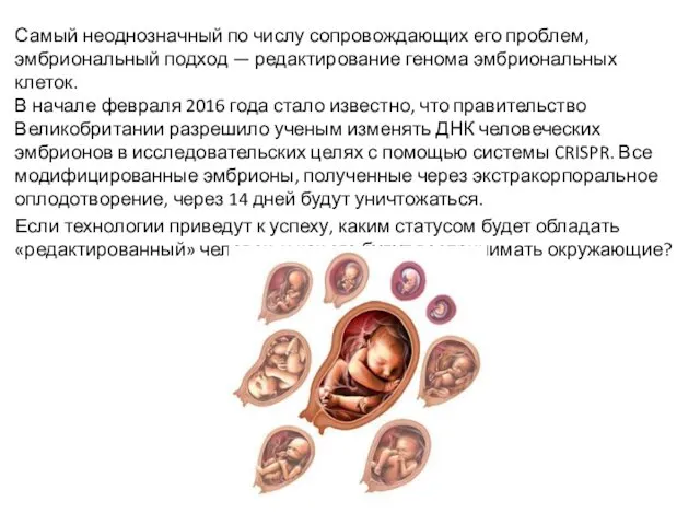 Самый неоднозначный по числу сопровождающих его проблем, эмбриональный подход — редактирование генома эмбриональных