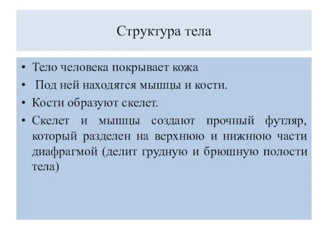 Структура тела Тело человека покрывает кожа Под ней находятся мышцы