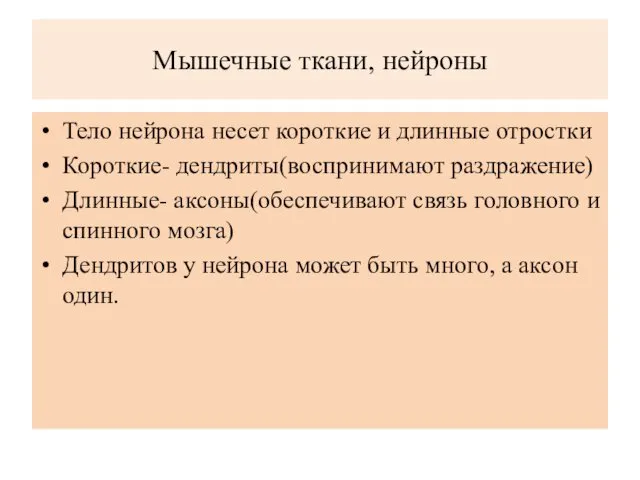 Мышечные ткани, нейроны Тело нейрона несет короткие и длинные отростки