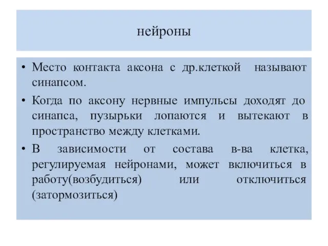 нейроны Место контакта аксона с др.клеткой называют синапсом. Когда по