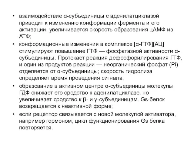 взаимодействие α-субъединицы с аденилатциклазой приводит к изменению конформации фермента и