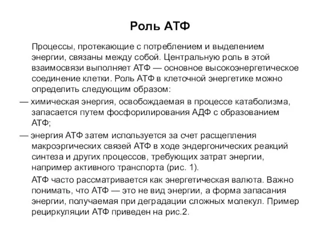 Роль АТФ Процессы, протекающие с потреблением и выделением энергии, связаны