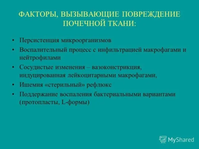 КЛАССИФИКАЦИЯ 3. Аномалии расположения и формы почек Дистопия почек -