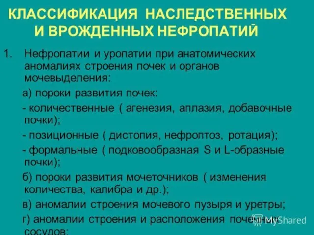 АНОМАЛИИ КОЛИЧЕСТВА ПОЧЕК Добавочная почка Эта аномалия встречается крайне редко.