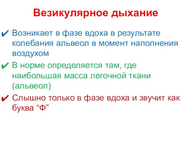 Везикулярное дыхание Возникает в фазе вдоха в результате колебания альвеол