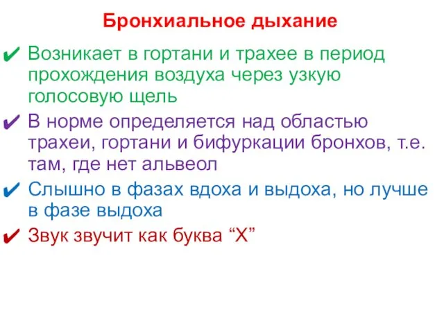 Бронхиальное дыхание Возникает в гортани и трахее в период прохождения