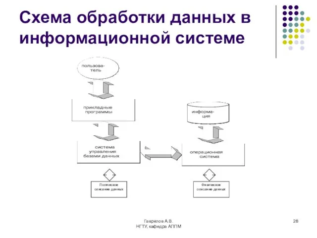 Гаврилов А.В. НГТУ, кафедра АППМ Схема обработки данных в информационной системе Логическое описание