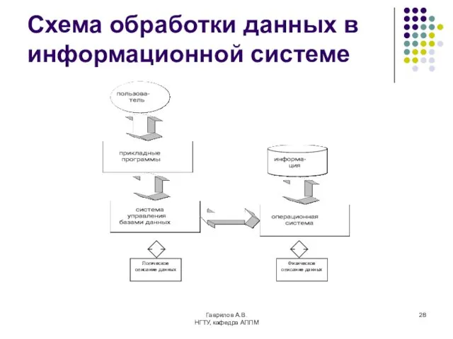 Гаврилов А.В. НГТУ, кафедра АППМ Схема обработки данных в информационной