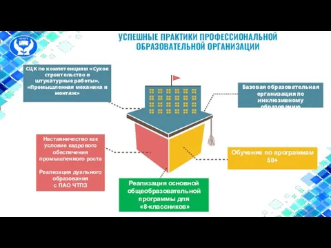 УСПЕШНЫЕ ПРАКТИКИ ПРОФЕССИОНАЛЬНОЙ ОБРАЗОВАТЕЛЬНОЙ ОРГАНИЗАЦИИ Наставничество как условие кадрового обеспечения