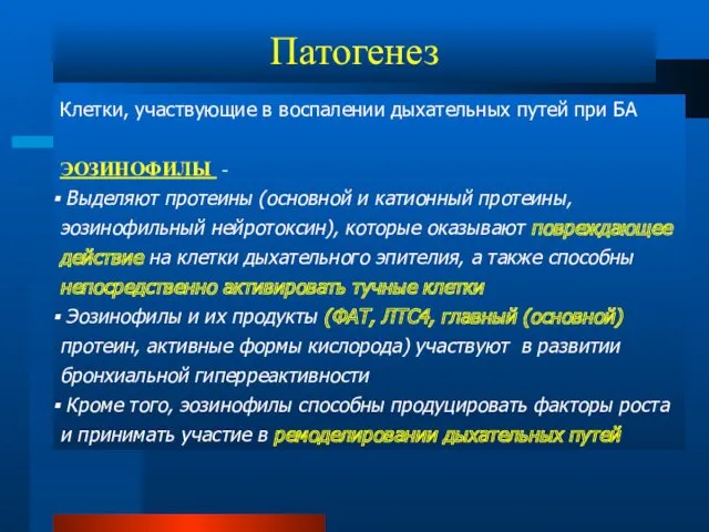 Патогенез Клетки, участвующие в воспалении дыхательных путей при БА ЭОЗИНОФИЛЫ