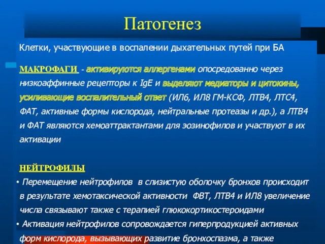 Клетки, участвующие в воспалении дыхательных путей при БА МАКРОФАГИ -