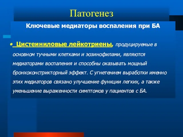 Ключевые медиаторы воспаления при БА Цистеиниловые лейкотриены, продуцируемые в основном