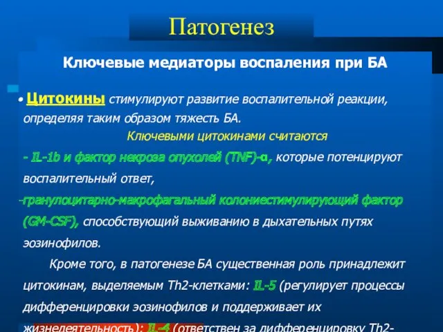 Ключевые медиаторы воспаления при БА Цитокины стимулируют развитие воспалительной реакции,