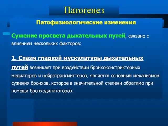 Патогенез Патофизиологические изменения Сужение просвета дыхательных путей, связано с влиянием