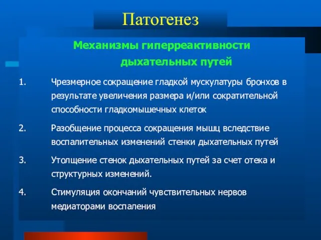 Патогенез Механизмы гиперреактивности дыхательных путей Чрезмерное сокращение гладкой мускулатуры бронхов