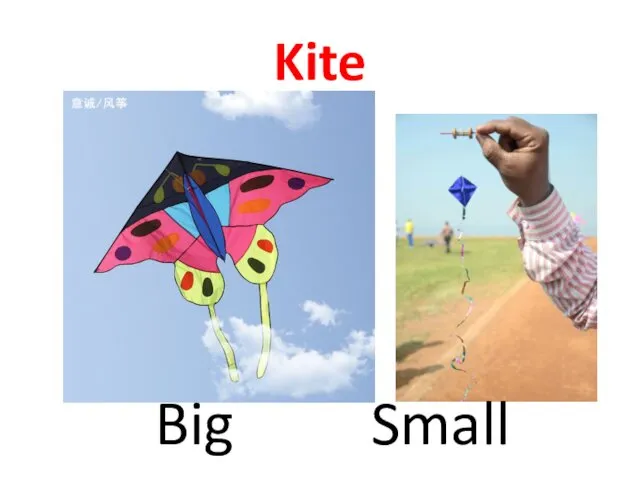 Kite Big Small