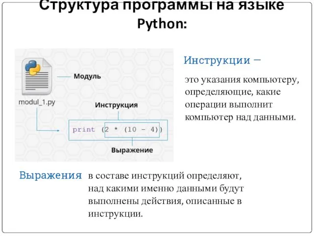 Структура программы на языке Python: Выражения в составе инструкций определяют,