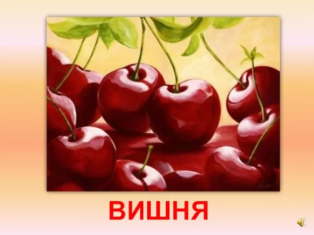 ВИШНЯ