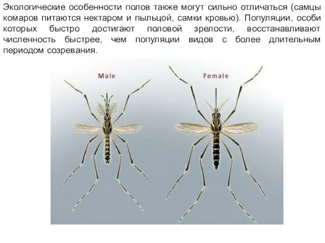 Экологические особенности полов также могут сильно отличаться (самцы комаров питаются
