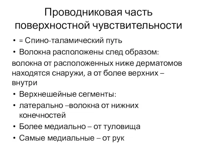 Проводниковая часть поверхностной чувствительности = Спино-таламический путь Волокна расположены след