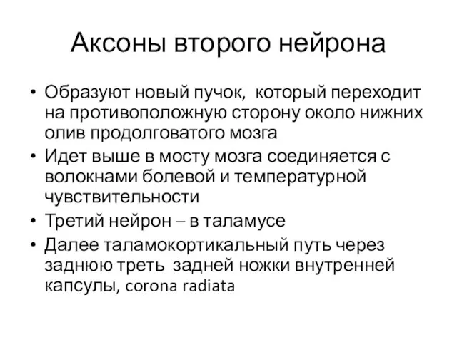 Аксоны второго нейрона Образуют новый пучок, который переходит на противоположную